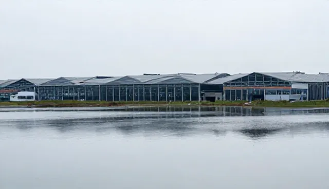 业务流程优化如何影响企业运营效率